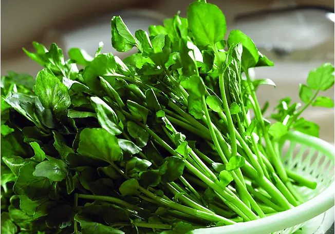 Watercress Names In Chinese