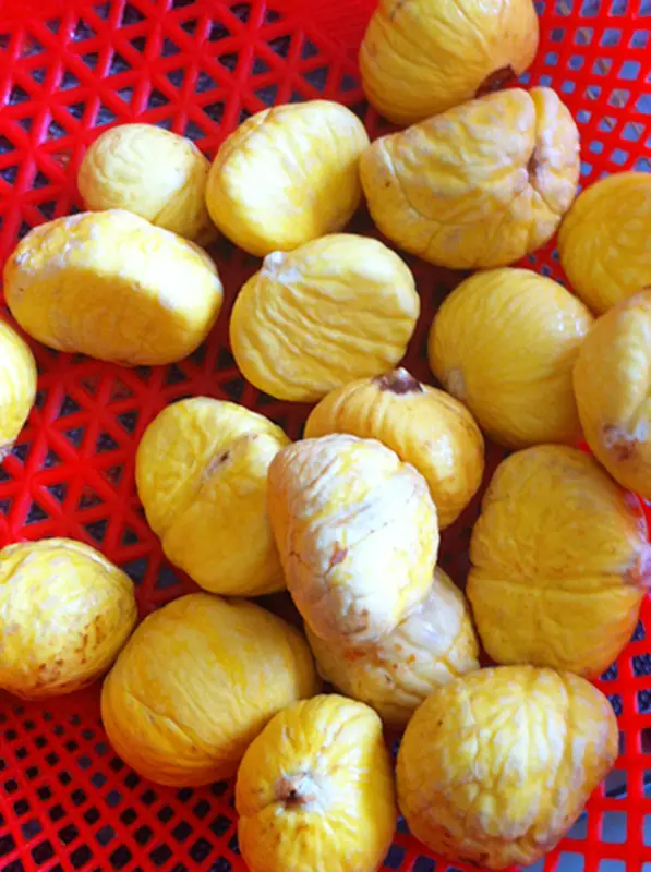 Cut the raw chestnuts into a knife