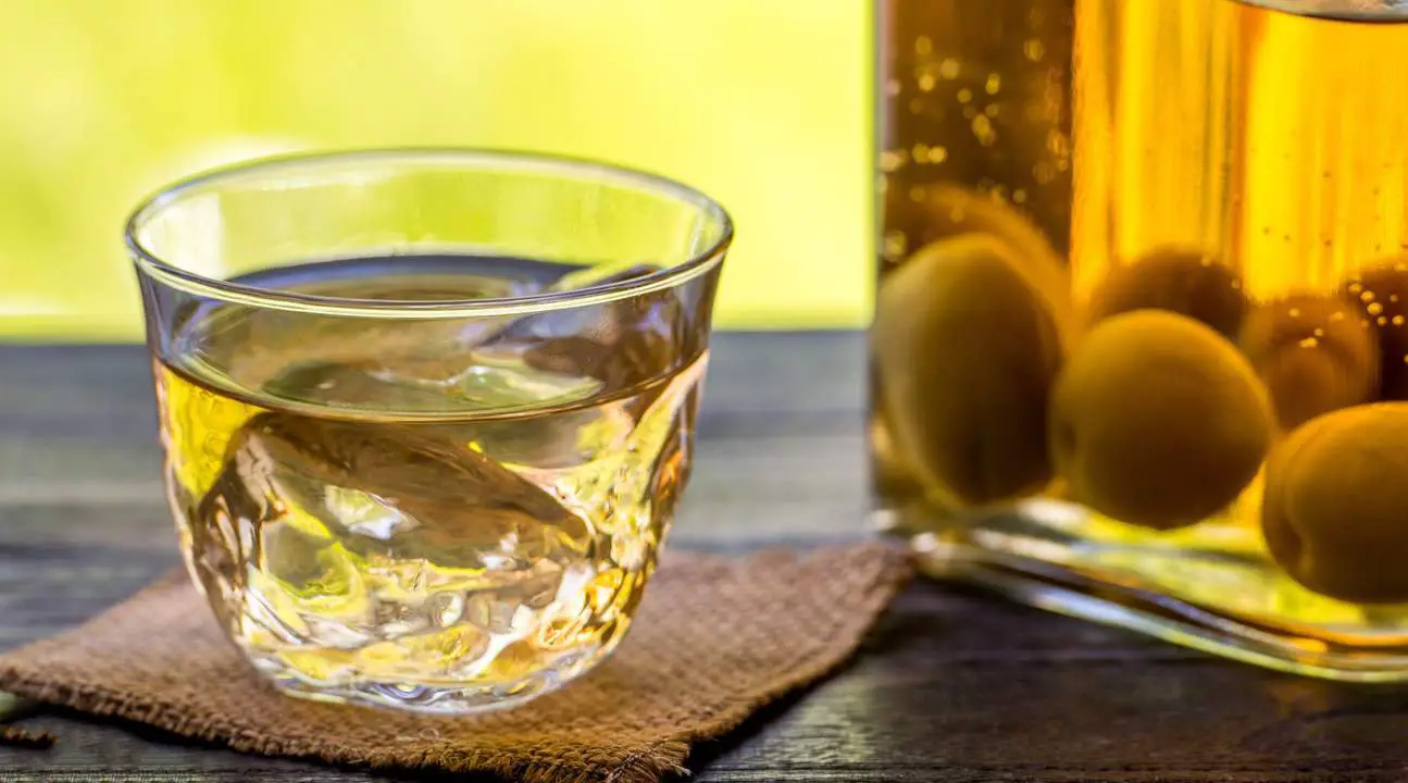Everything You Need To Know About Chinese Plum Wine