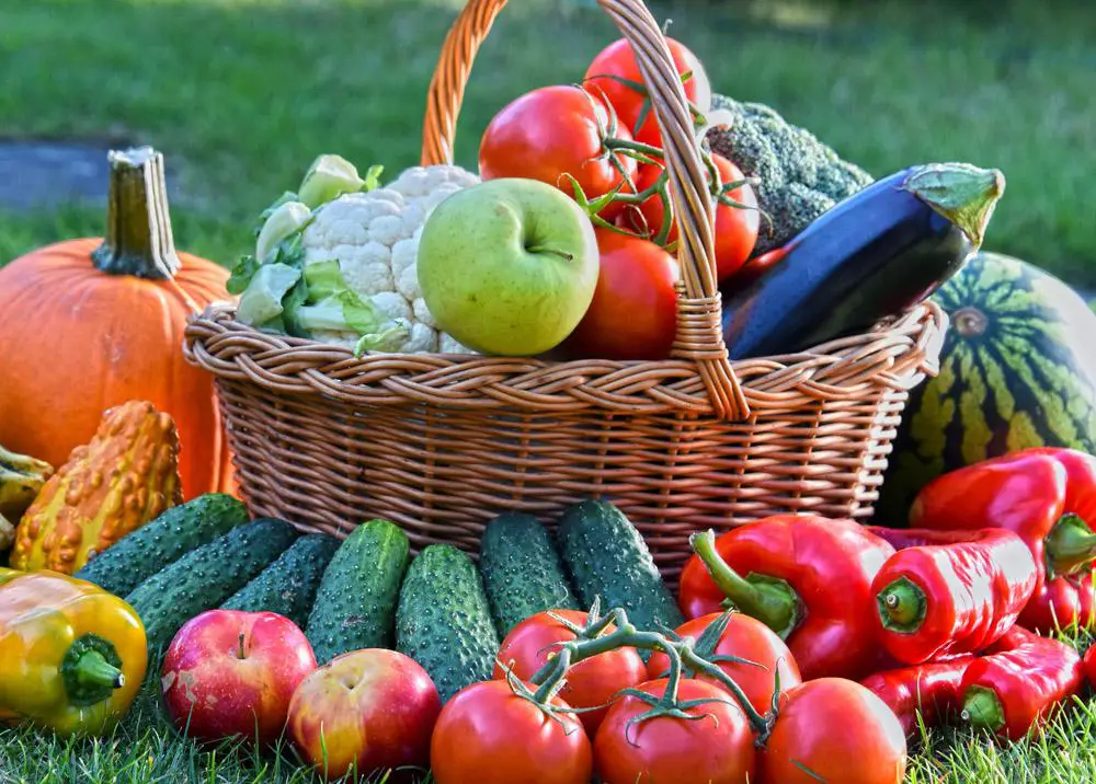 More Vegetables, More Fiber!