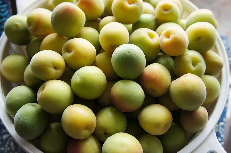 Prepare the Plums