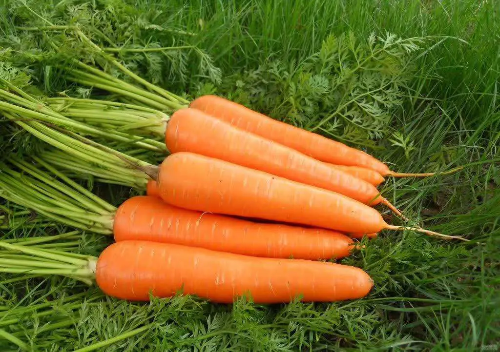 Vegetables Used In Egg Foo Young