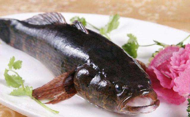 soon hock fish
